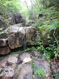 c0359615_09213004.jpg