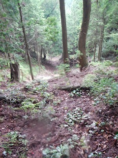 c0359615_09214931.jpg
