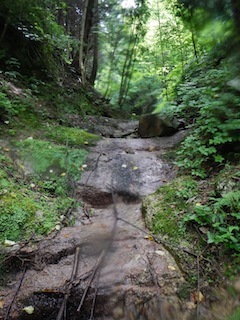 c0359615_09220203.jpg