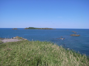 d0106518_15333030.jpg