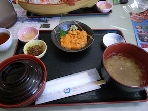 d0106518_1534033.jpg