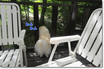 b0167519_2027914.gif