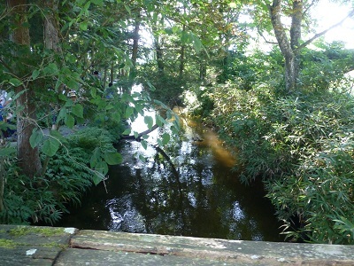 c0227720_18403953.jpg