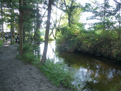 c0227720_18410107.jpg
