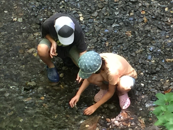 c0087023_20154108.jpg