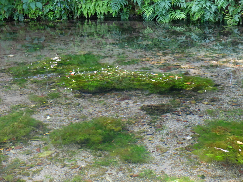 f0362524_20013782.jpg