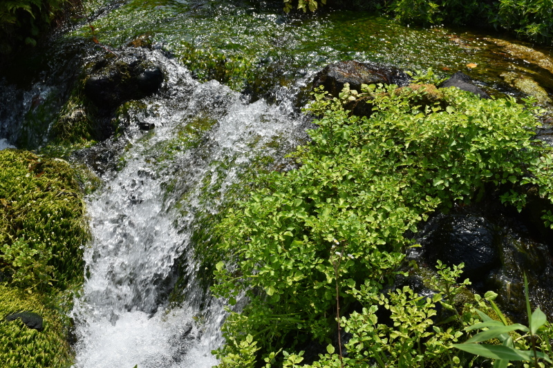 f0362524_20092128.jpg