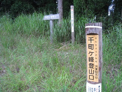 c0077338_22060093.jpg
