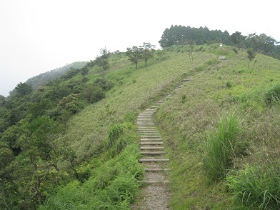 c0077338_22091184.jpg