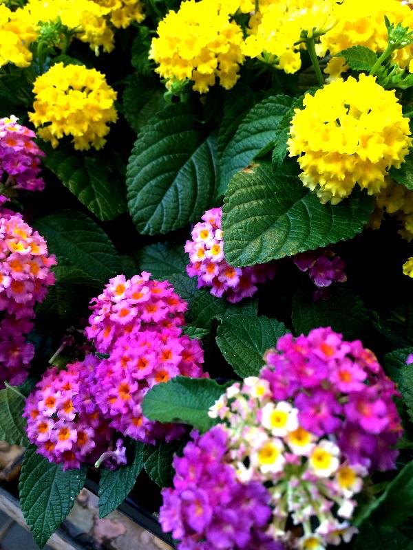 a0060141_1339920.jpg