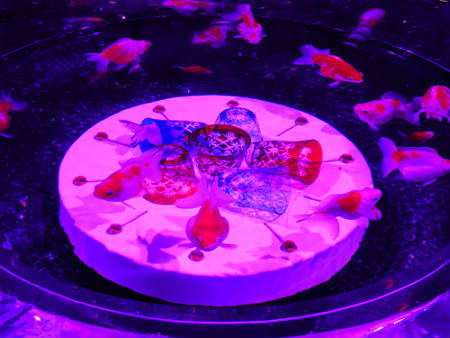 d0039443_2243234.jpg