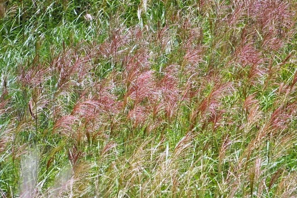 b0236251_10542440.jpg