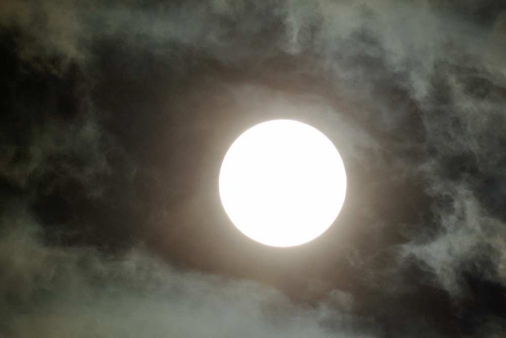 c0350853_21244944.jpg