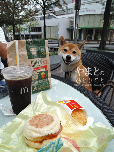 a0286855_625465.gif