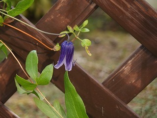 e0004756_20340674.jpg
