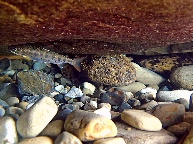c0123363_2293352.jpg