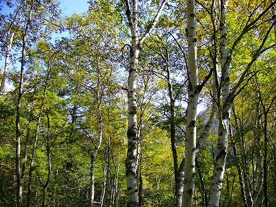 b0171771_06461021.jpg