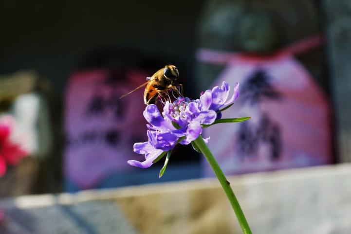 c0248473_20361860.jpg