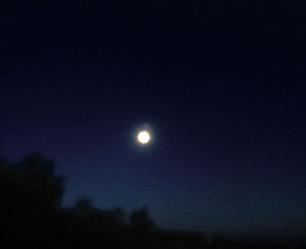 c0179785_437071.jpg