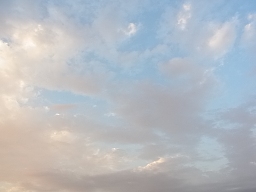 e0155085_2052280.jpg