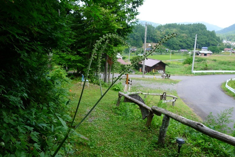 a0130586_9292430.jpg
