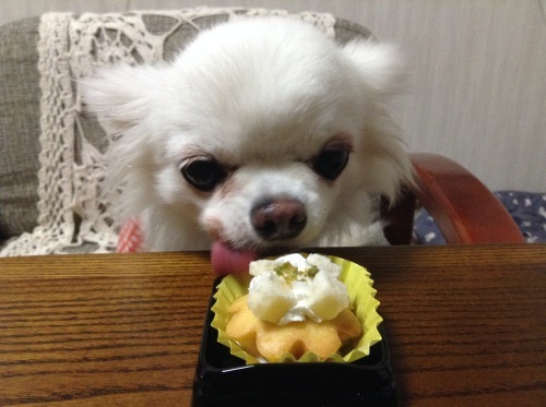 b0245886_10343127.jpeg