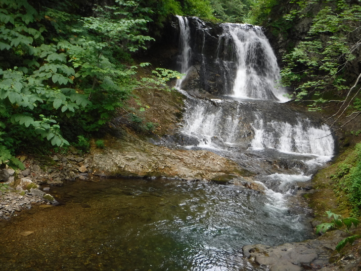 d0198793_18452695.jpg