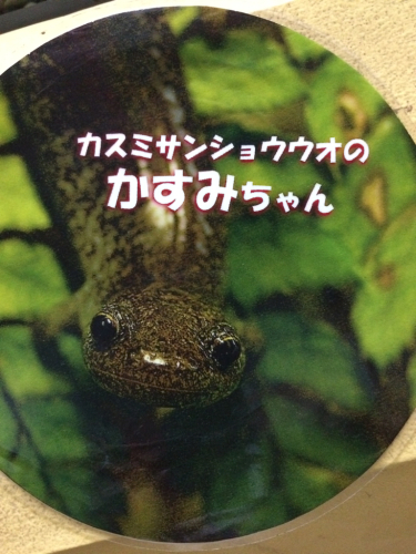 e0111793_22425316.jpg