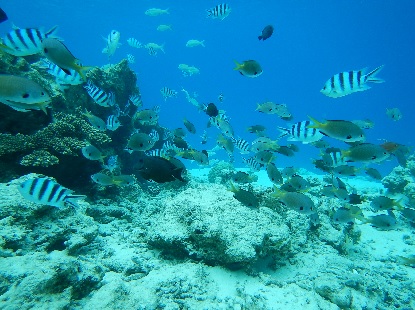 e0077899_9222336.jpg