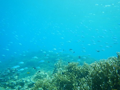 e0077899_9224697.jpg