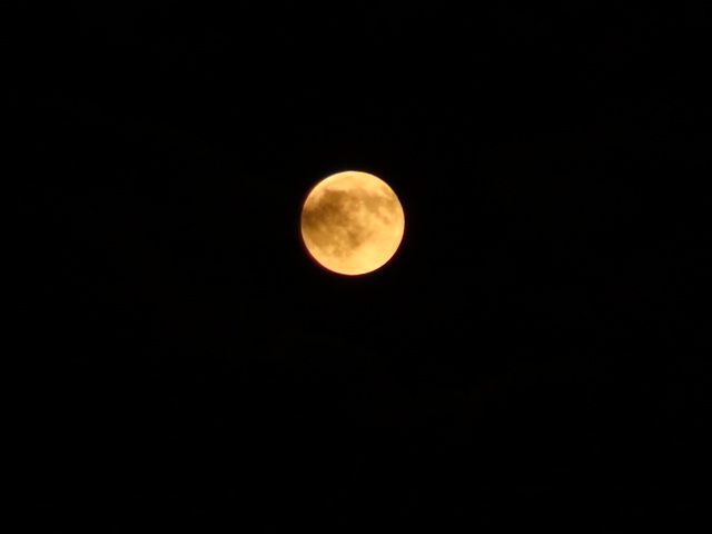 f0231709_18524662.jpg