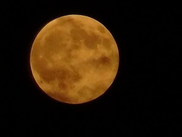f0231709_1852865.jpg