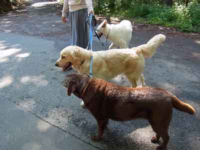 e0001110_804647.jpg
