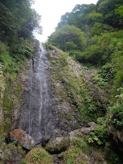 c0359615_20583929.jpg