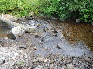 c0359615_20585794.jpg