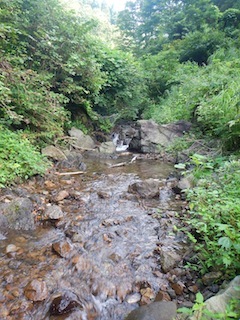 c0359615_20592200.jpg