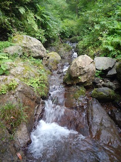 c0359615_20593131.jpg