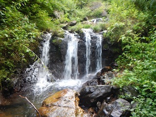 c0359615_20594428.jpg