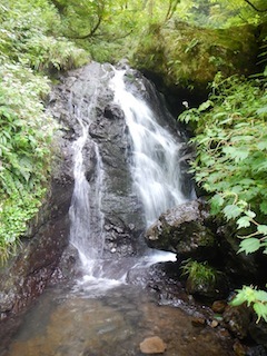 c0359615_20595876.jpg