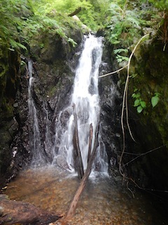 c0359615_21002160.jpg