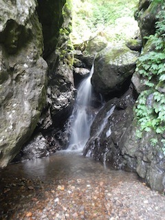 c0359615_21003494.jpg