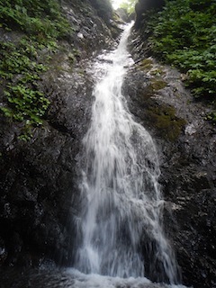 c0359615_21004462.jpg