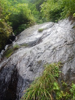 c0359615_21010845.jpg