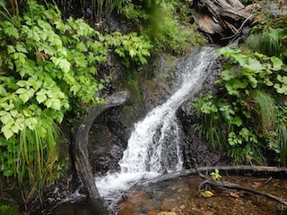c0359615_21014522.jpg
