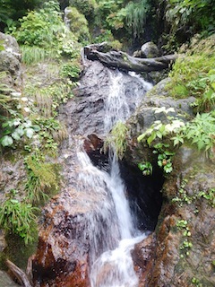 c0359615_21044203.jpg