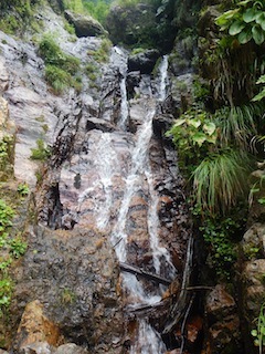 c0359615_21105037.jpg
