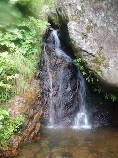 c0359615_21112728.jpg
