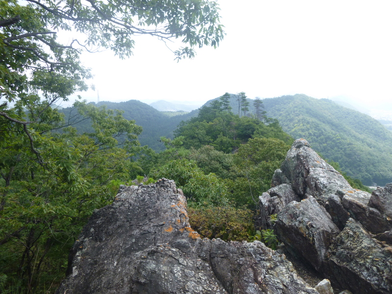 d0170615_1612015.jpg