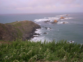 d0106518_2251459.jpg