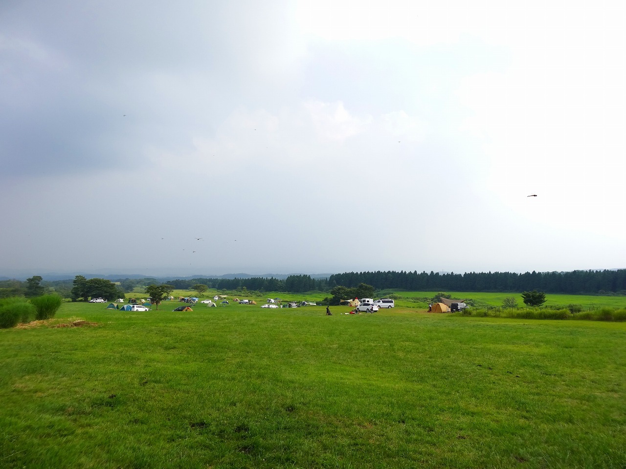 f0174419_14175167.jpg